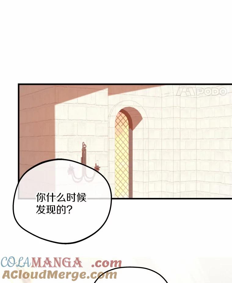 《小圣女想要毁灭世界》14.相认 第65页