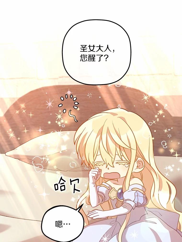 《小圣女想要毁灭世界》14.相认 第43页