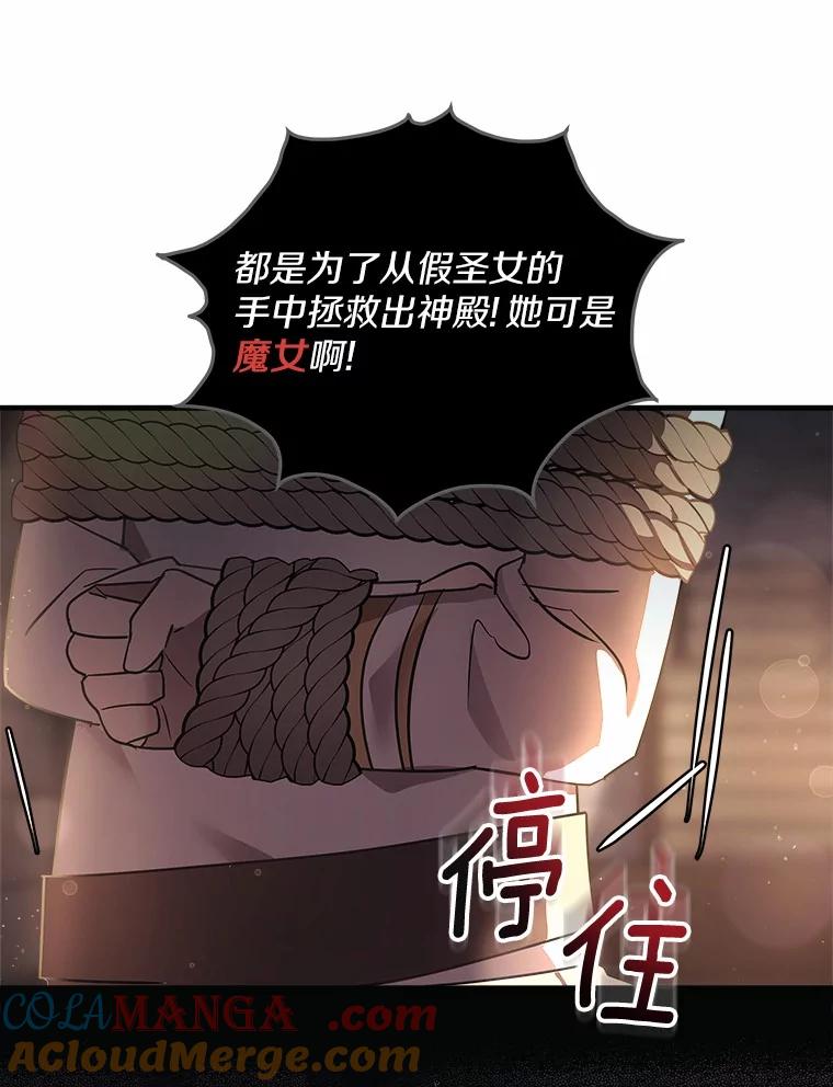 《小圣女想要毁灭世界》16.抓住真凶 第13页