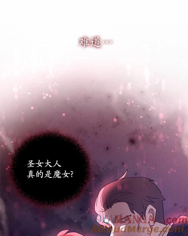 《小圣女想要毁灭世界》16.抓住真凶 第29页