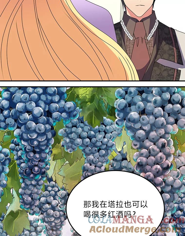 公爵夫人的秘密执笔 43.疯狂解释 第101页