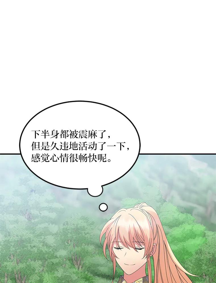 公爵夫人的秘密执笔 45.夫人的另一面 第70页