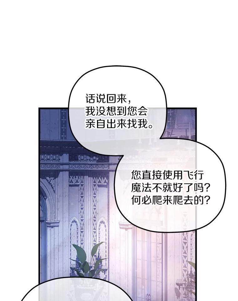 《小圣女想要毁灭世界》4.回忆 第99页