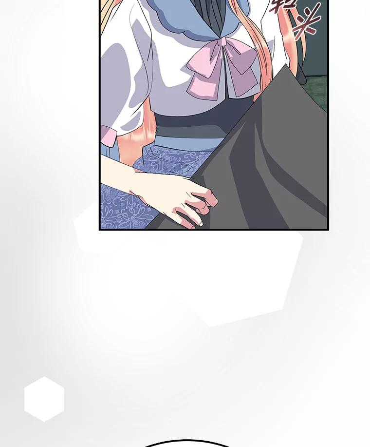 公爵夫人的秘密执笔 54.但愿君心似我心 第19页