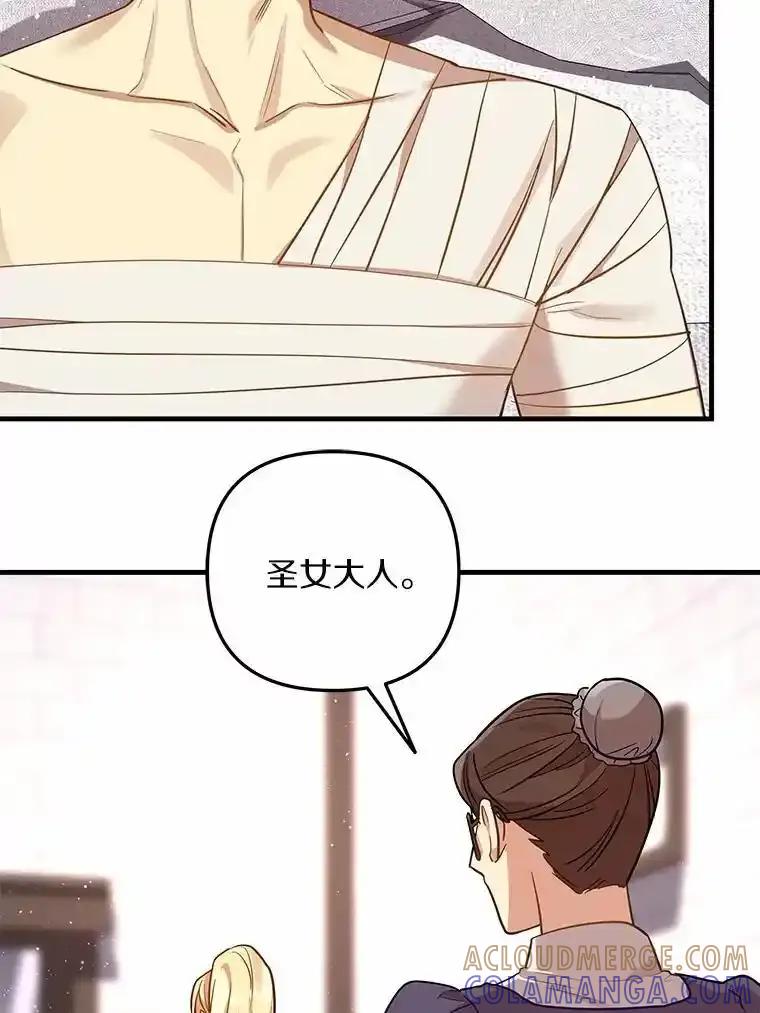《小圣女想要毁灭世界》55.黑暗怪物的目的 第29页