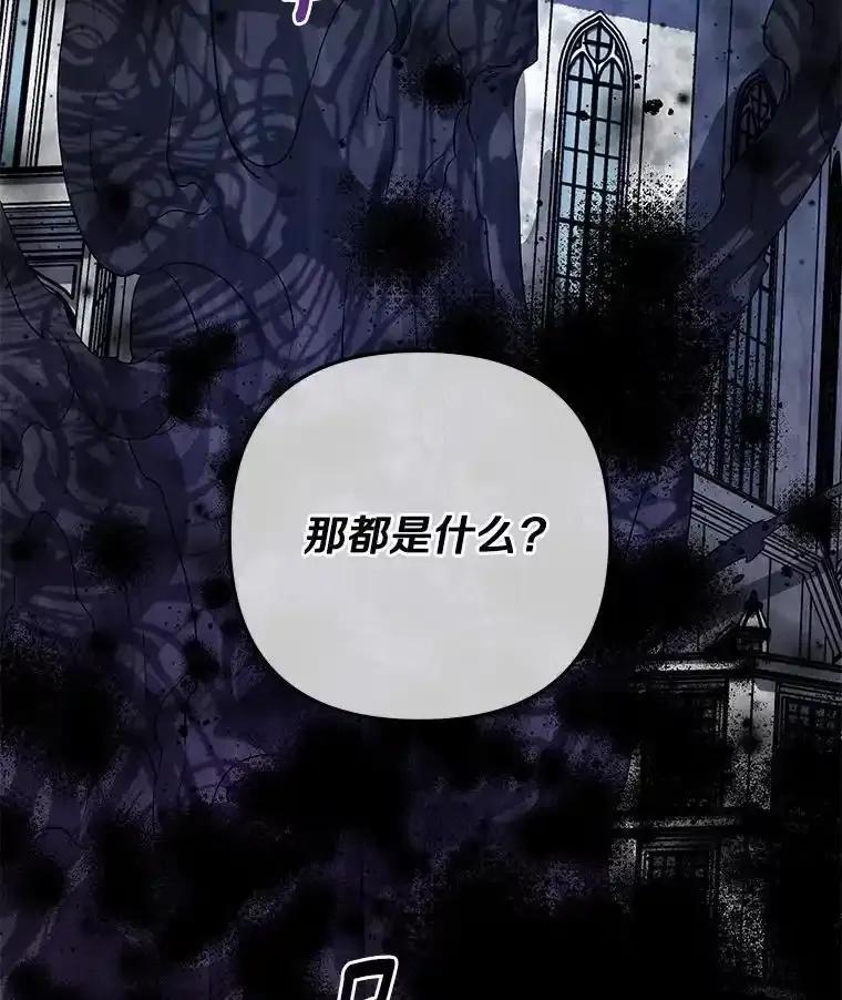 《小圣女想要毁灭世界》55.黑暗怪物的目的 第14页