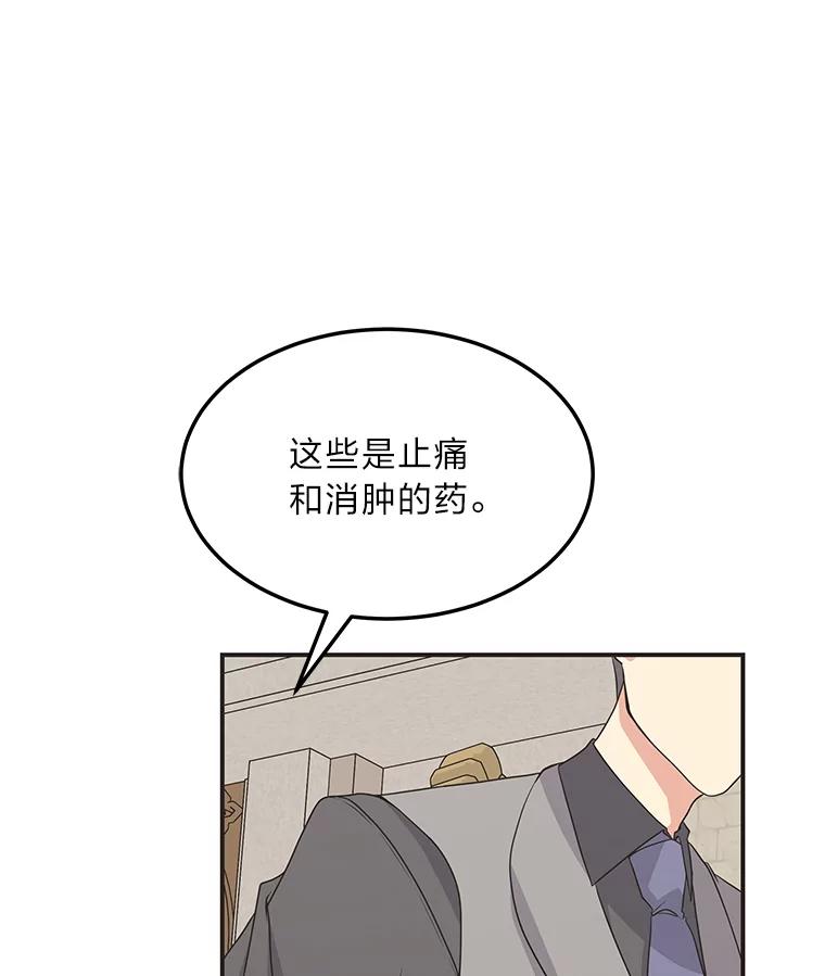 公爵夫人的秘密执笔 57.新的工作 第11页