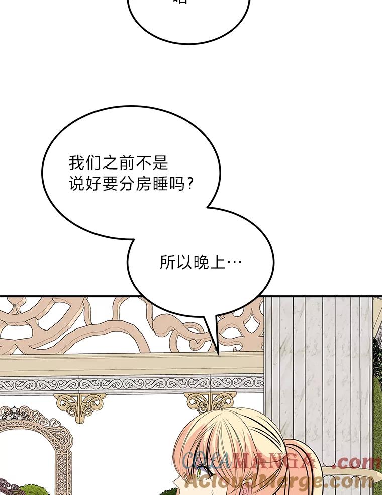 公爵夫人的秘密执笔 58.回归之夜 第73页