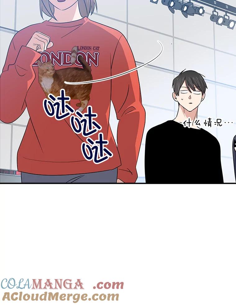 《狗血剧之王》90.荒唐的谣言 第93页