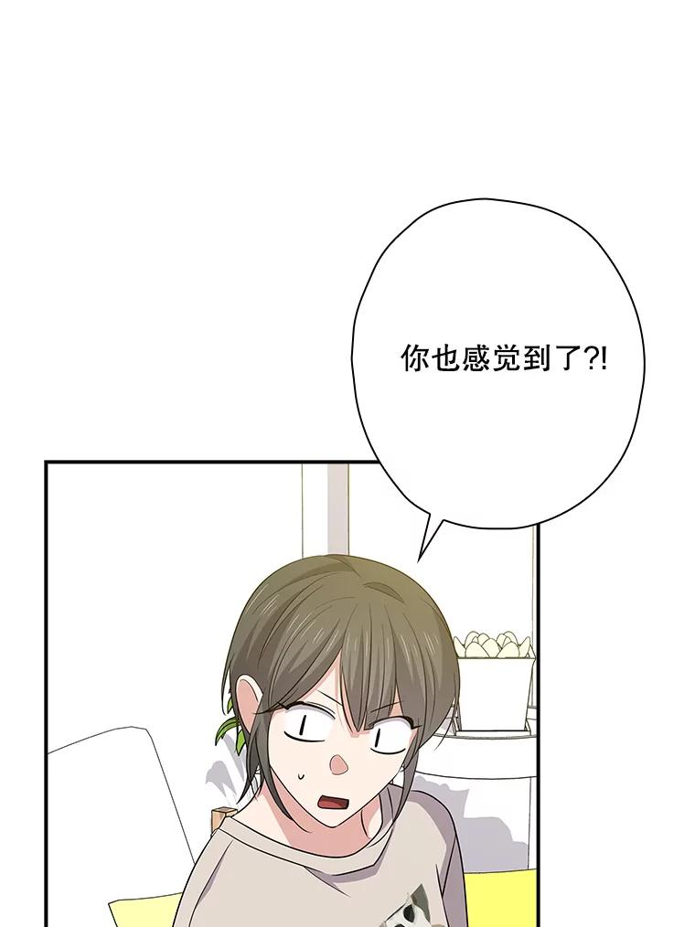 《狗血剧之王》97.提名 第3页