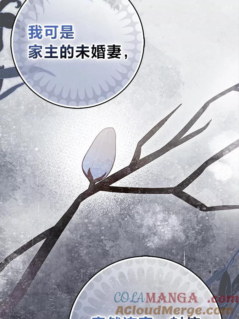 《消失的灰姑娘》8.背叛感 第57页