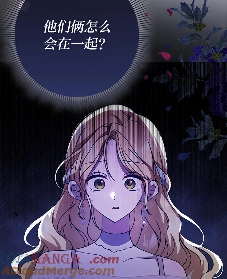 《消失的灰姑娘》8.背叛感 第13页