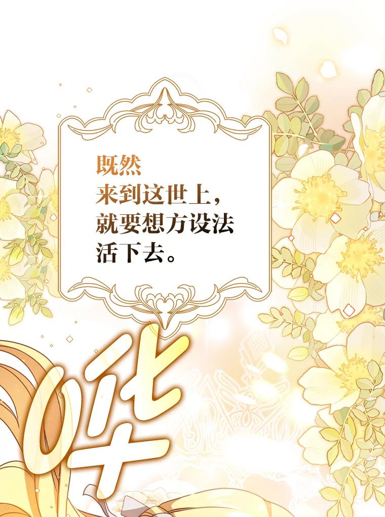 《消失的灰姑娘》8.背叛感 第60页