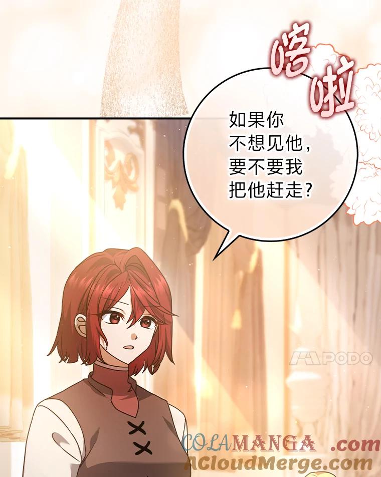 《消失的灰姑娘》10.可靠的双胞胎 第61页