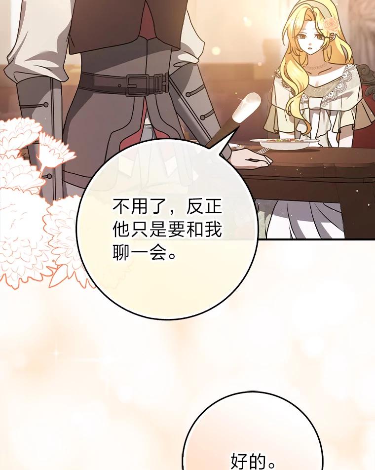 《消失的灰姑娘》10.可靠的双胞胎 第62页