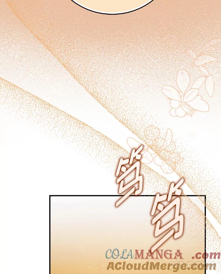 《消失的灰姑娘》10.可靠的双胞胎 第105页