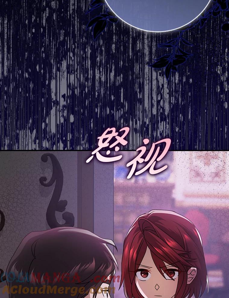 《消失的灰姑娘》10.可靠的双胞胎 第77页