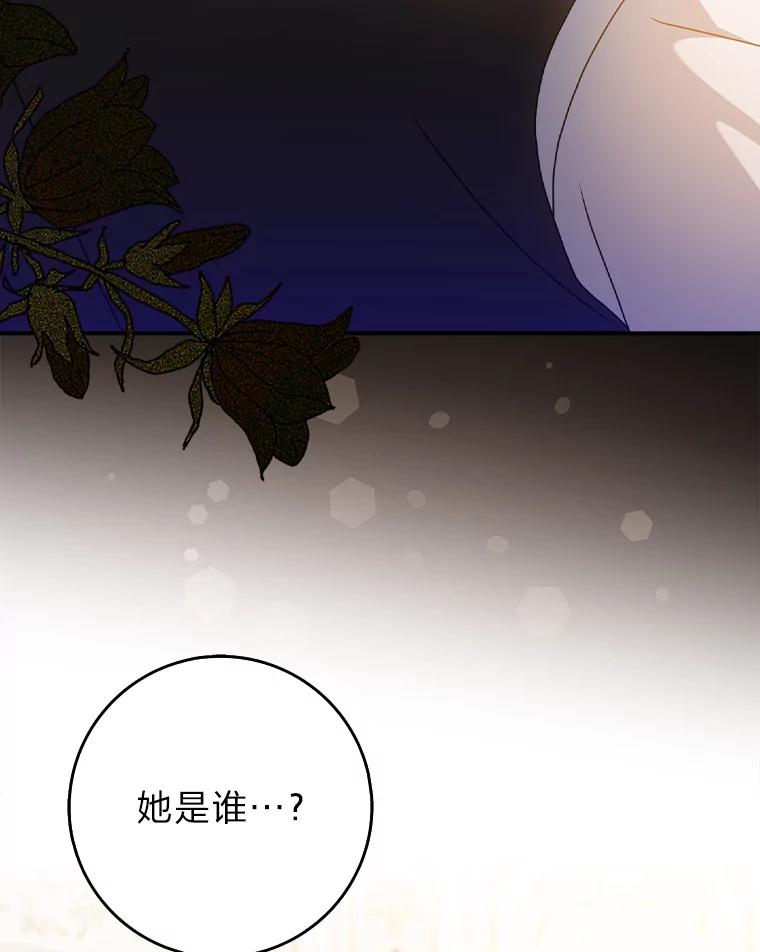 《消失的灰姑娘》10.可靠的双胞胎 第66页