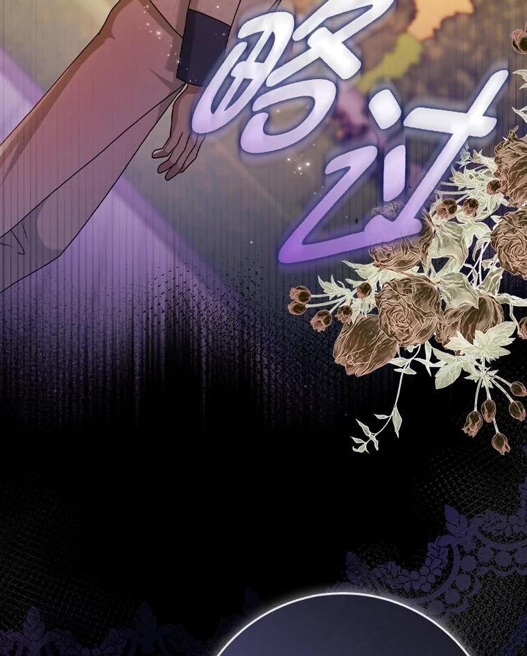 《消失的灰姑娘》10.可靠的双胞胎 第46页