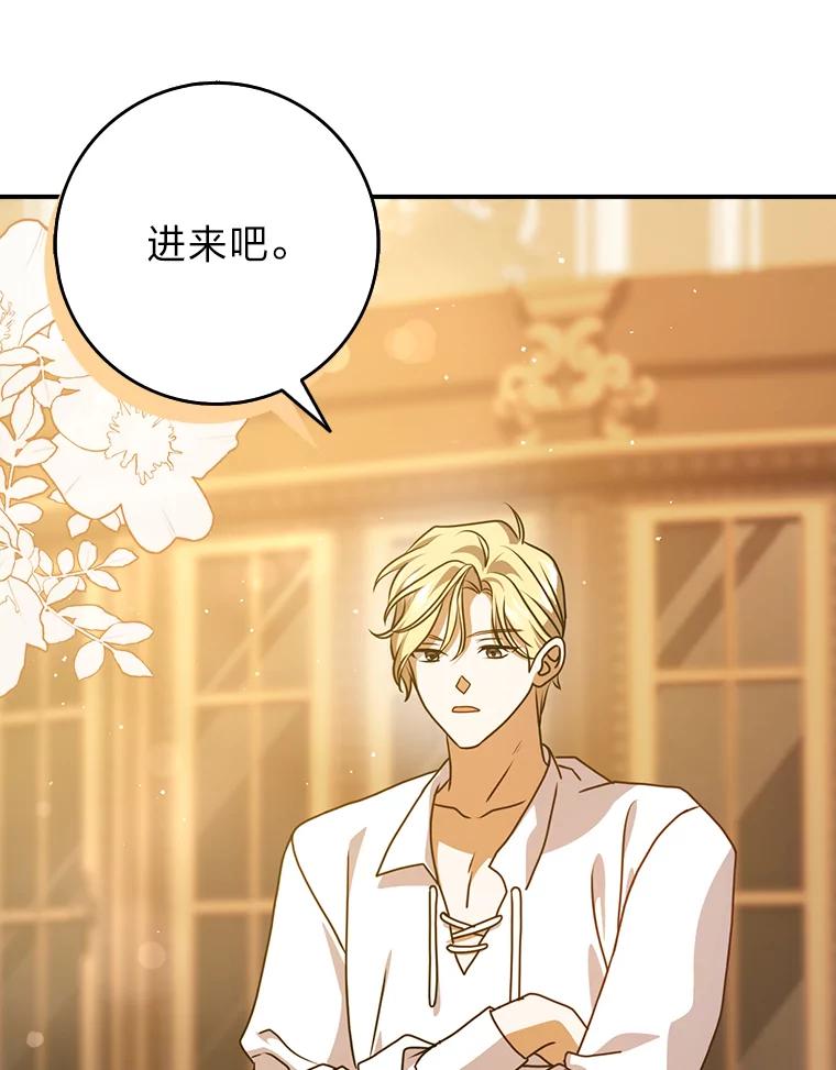 《消失的灰姑娘》10.可靠的双胞胎 第107页