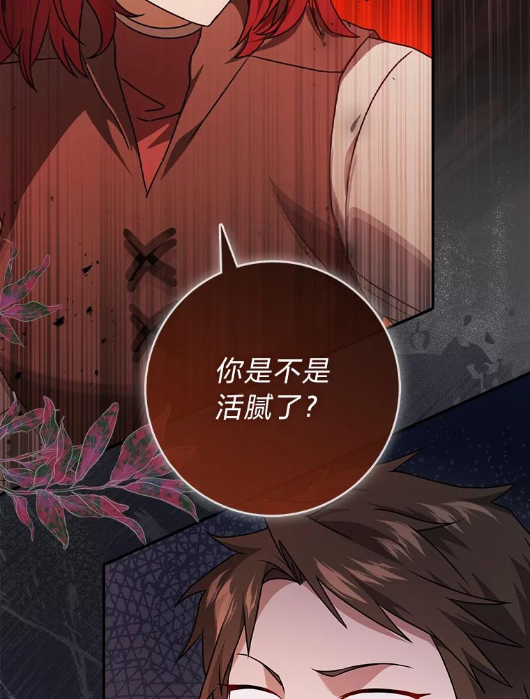 《消失的灰姑娘》10.可靠的双胞胎 第11页