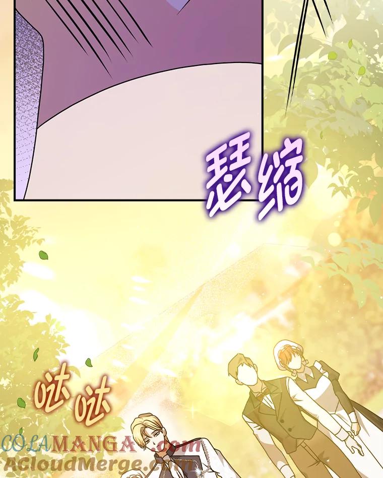 《消失的灰姑娘》10.可靠的双胞胎 第29页