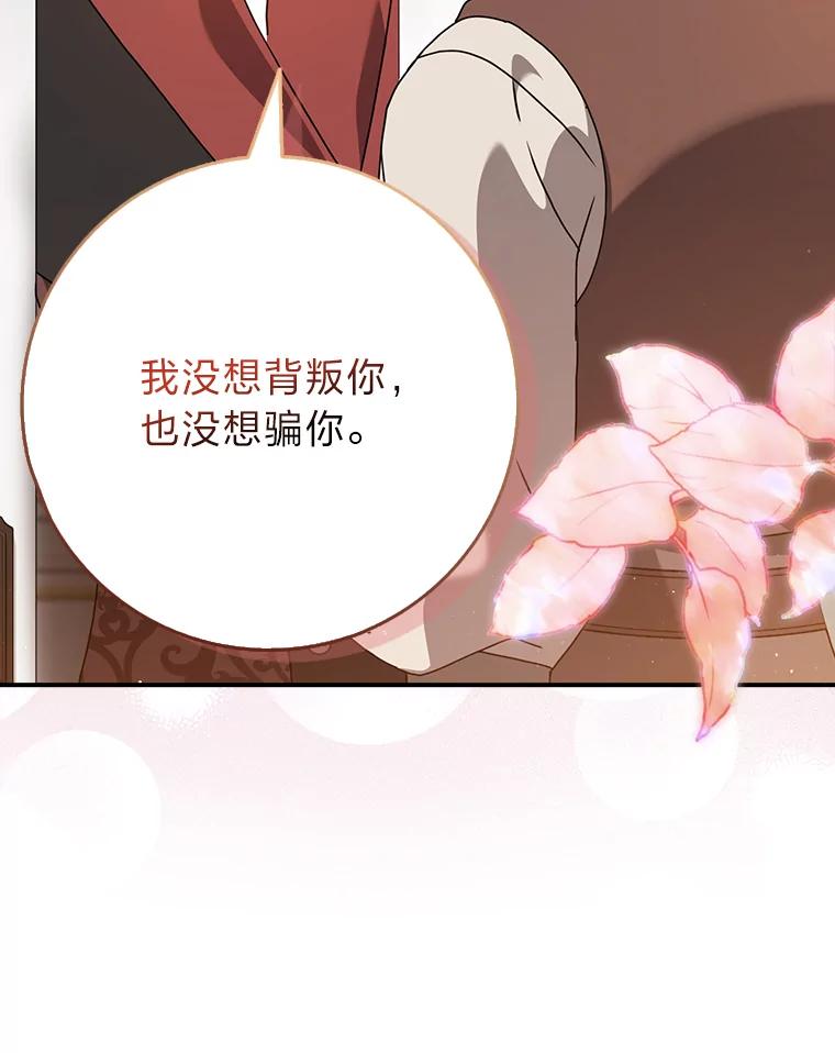 《消失的灰姑娘》10.可靠的双胞胎 第70页