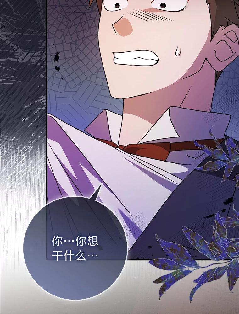 《消失的灰姑娘》10.可靠的双胞胎 第12页