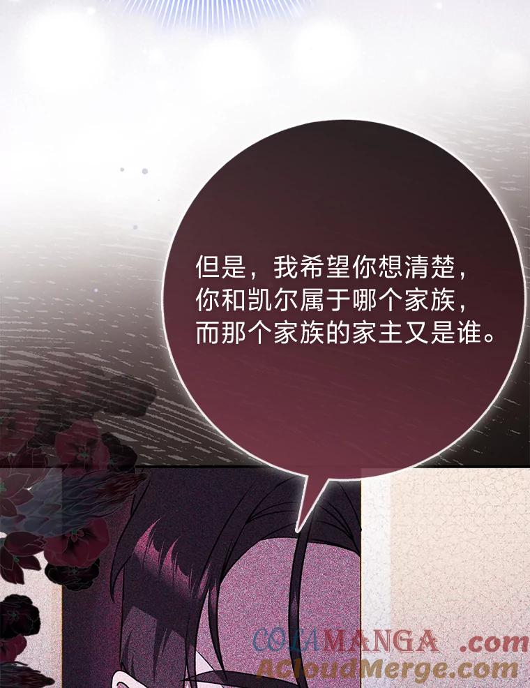 《消失的灰姑娘》10.可靠的双胞胎 第73页