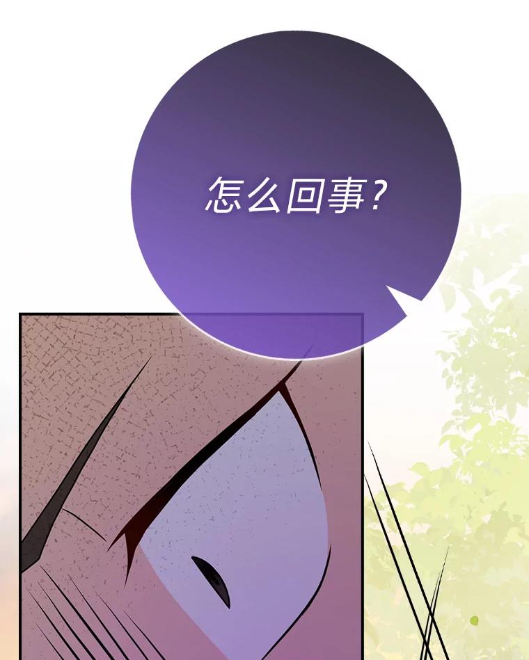 《消失的灰姑娘》10.可靠的双胞胎 第28页