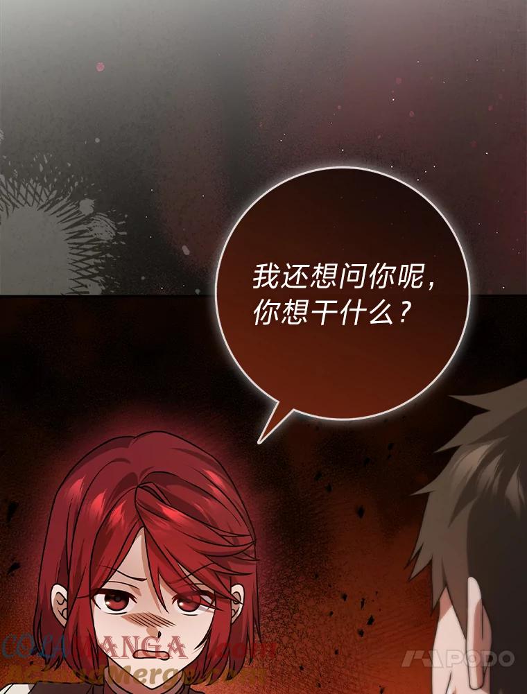 《消失的灰姑娘》10.可靠的双胞胎 第13页