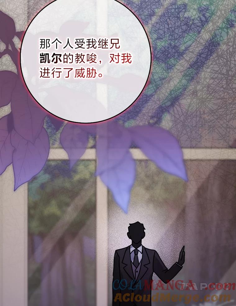 《消失的灰姑娘》11.临走前的嘱托 第41页