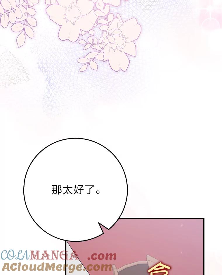 《消失的灰姑娘》11.临走前的嘱托 第29页