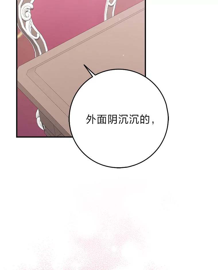 《消失的灰姑娘》11.临走前的嘱托 第22页