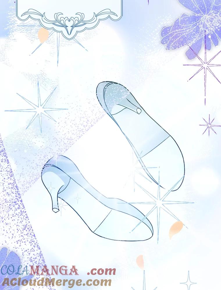 《消失的灰姑娘》14.最后通报 第133页
