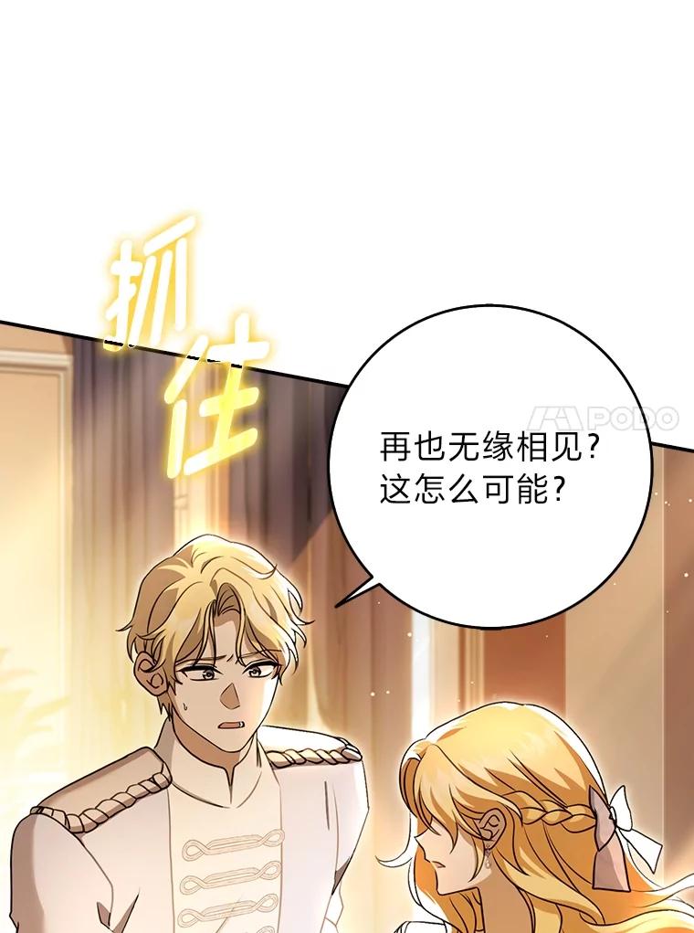 《消失的灰姑娘》14.最后通报 第99页