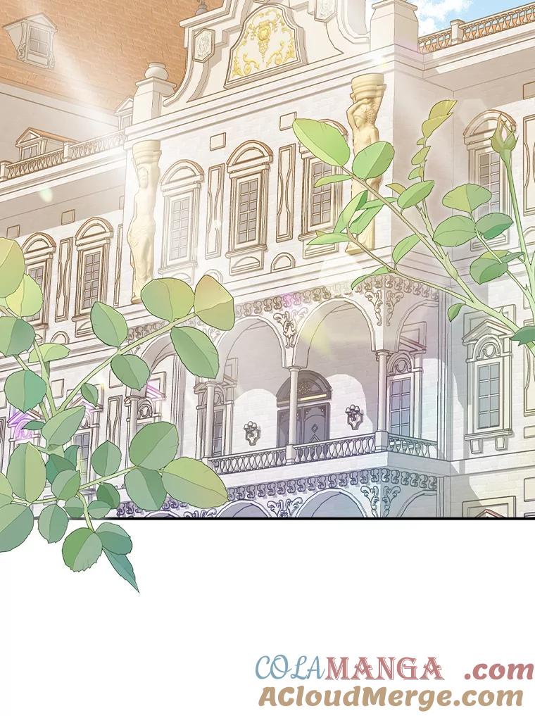 《消失的灰姑娘》14.最后通报 第45页