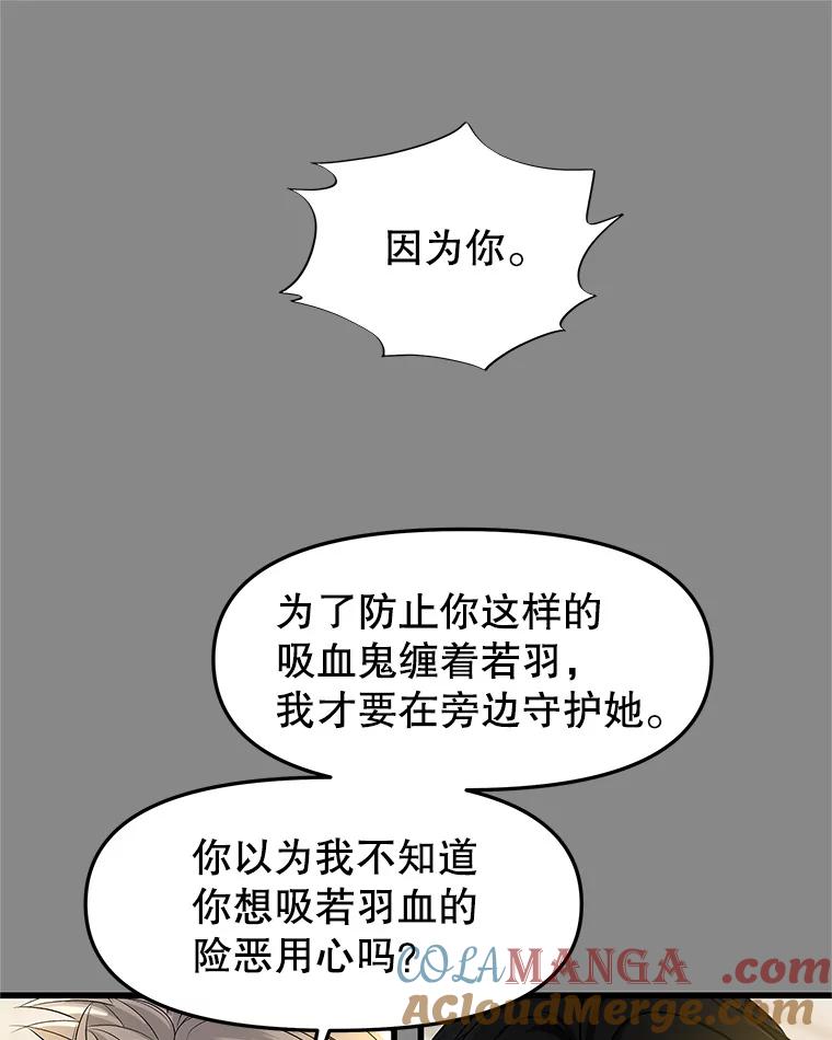 《替吸血鬼吃饭的我》159.珍惜的朋友 第67页