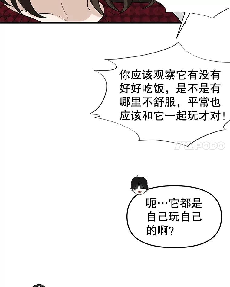 《替吸血鬼吃饭的我》168.酒吧面试 第15页
