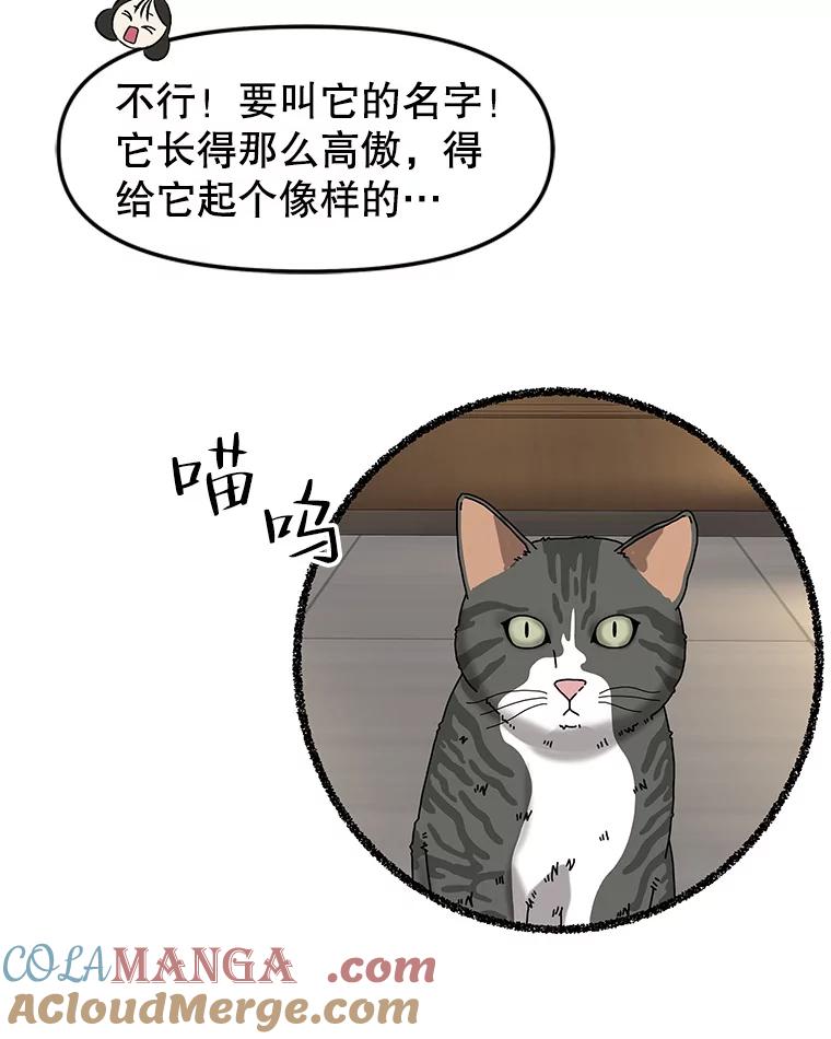 《替吸血鬼吃饭的我》168.酒吧面试 第16页