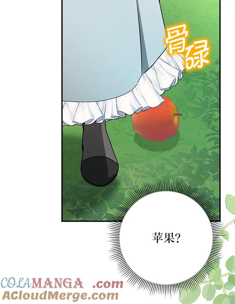 《消失的灰姑娘》15.滚来的苹果 第105页
