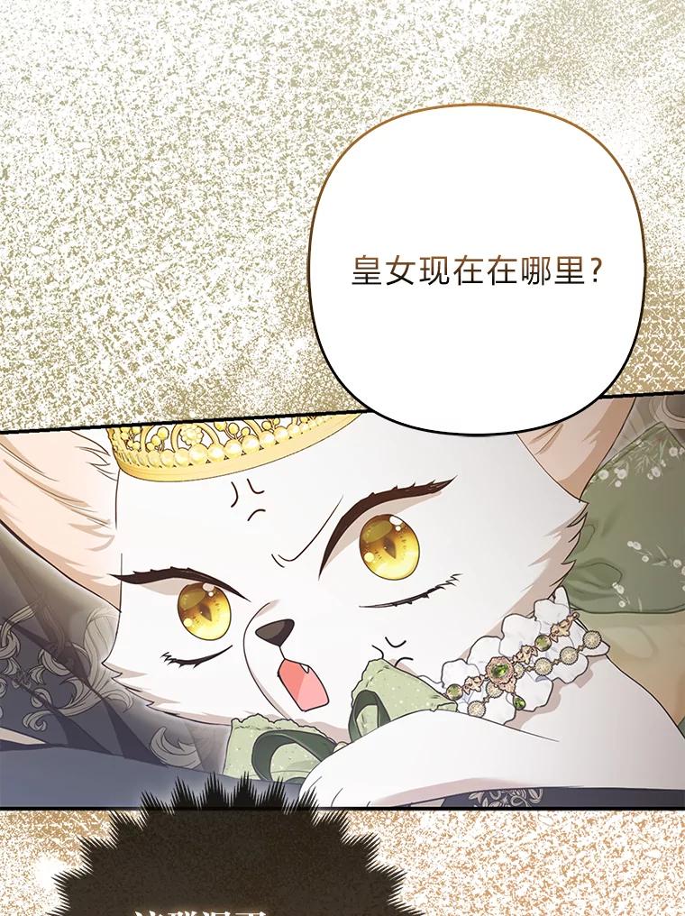 《大公家的狐狸皇女》16.阿祖尔迪夫妇 第88页