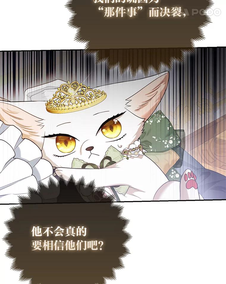 《大公家的狐狸皇女》16.阿祖尔迪夫妇 第104页