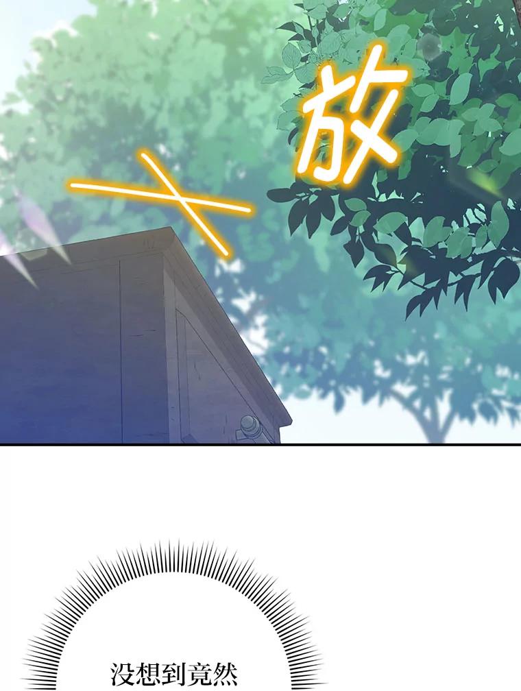 《消失的灰姑娘》15.滚来的苹果 第78页