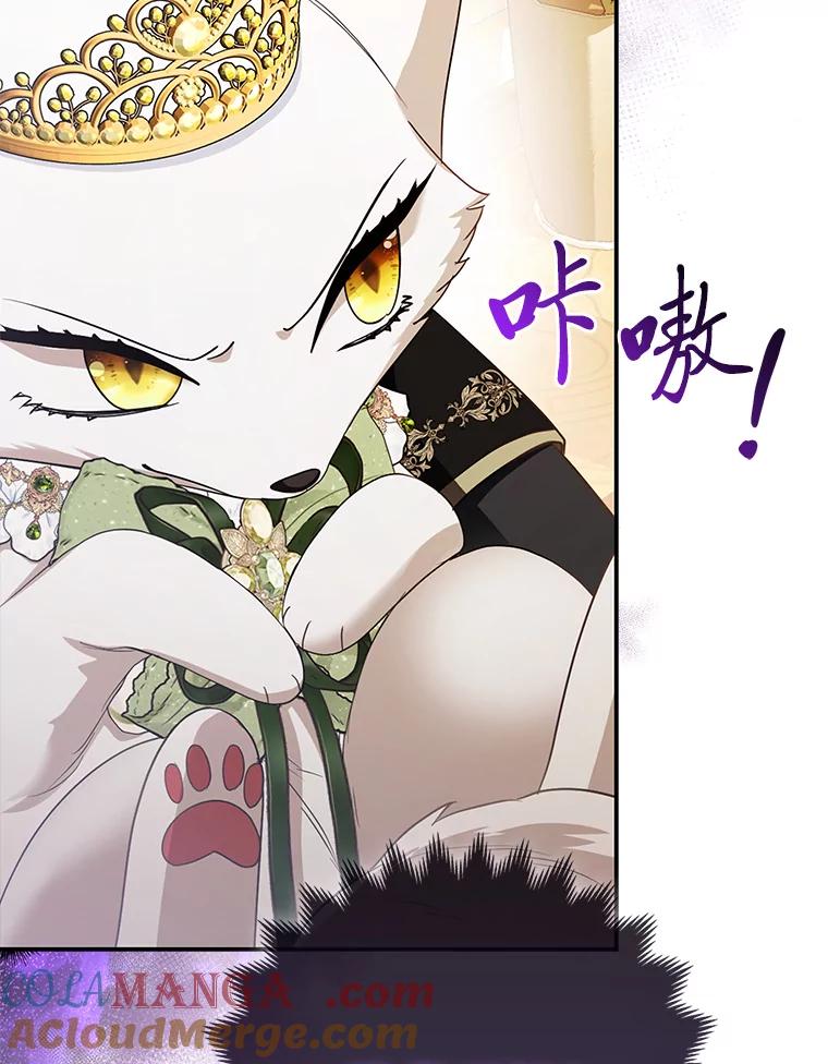 《大公家的狐狸皇女》16.阿祖尔迪夫妇 第65页