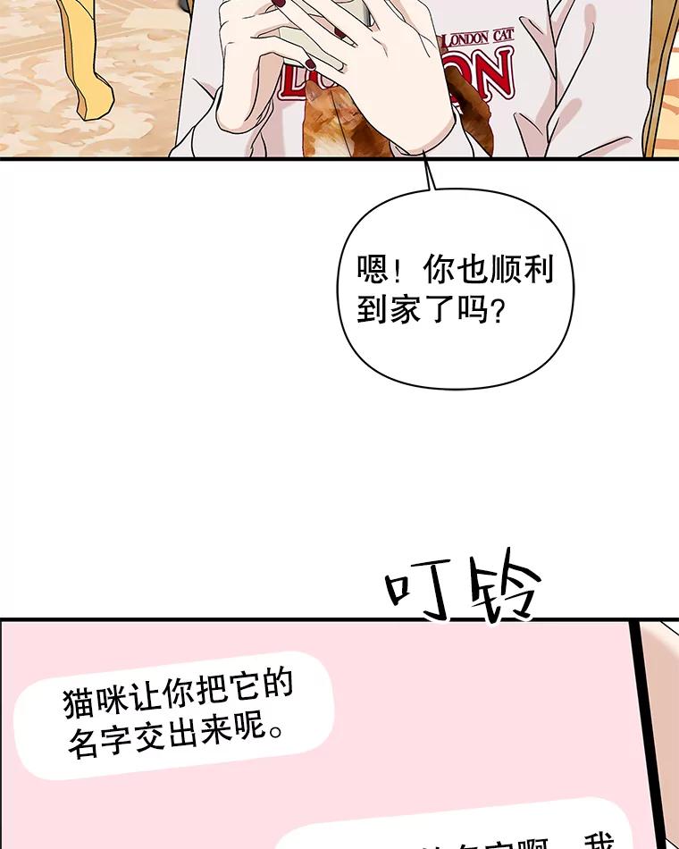 《替吸血鬼吃饭的我》169.远离吸血鬼 第44页
