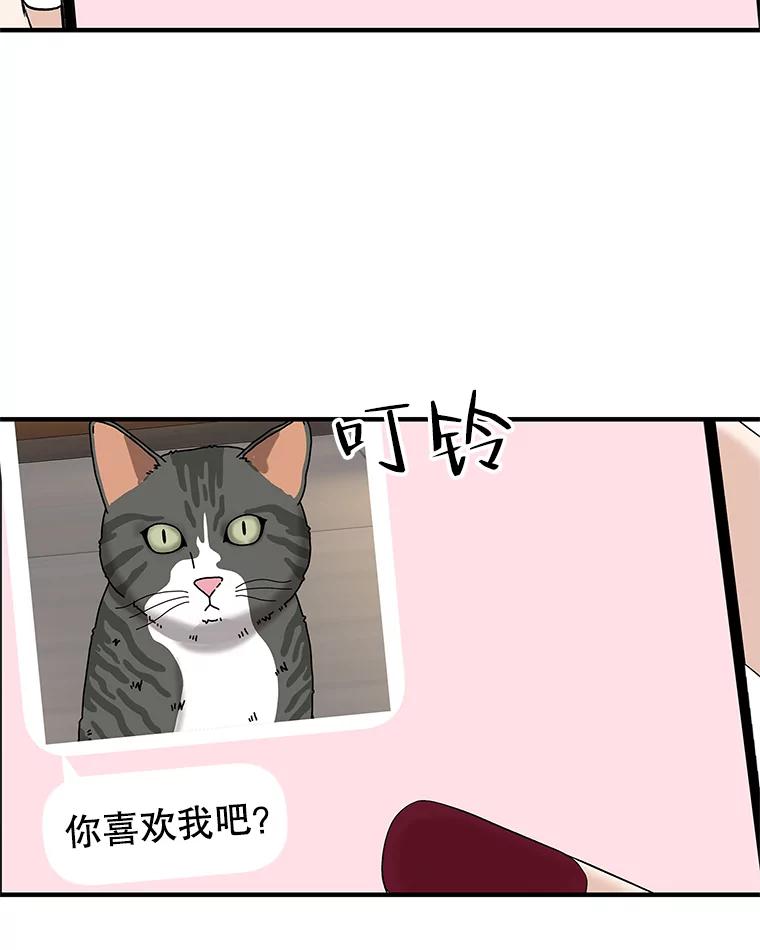 《替吸血鬼吃饭的我》169.远离吸血鬼 第47页