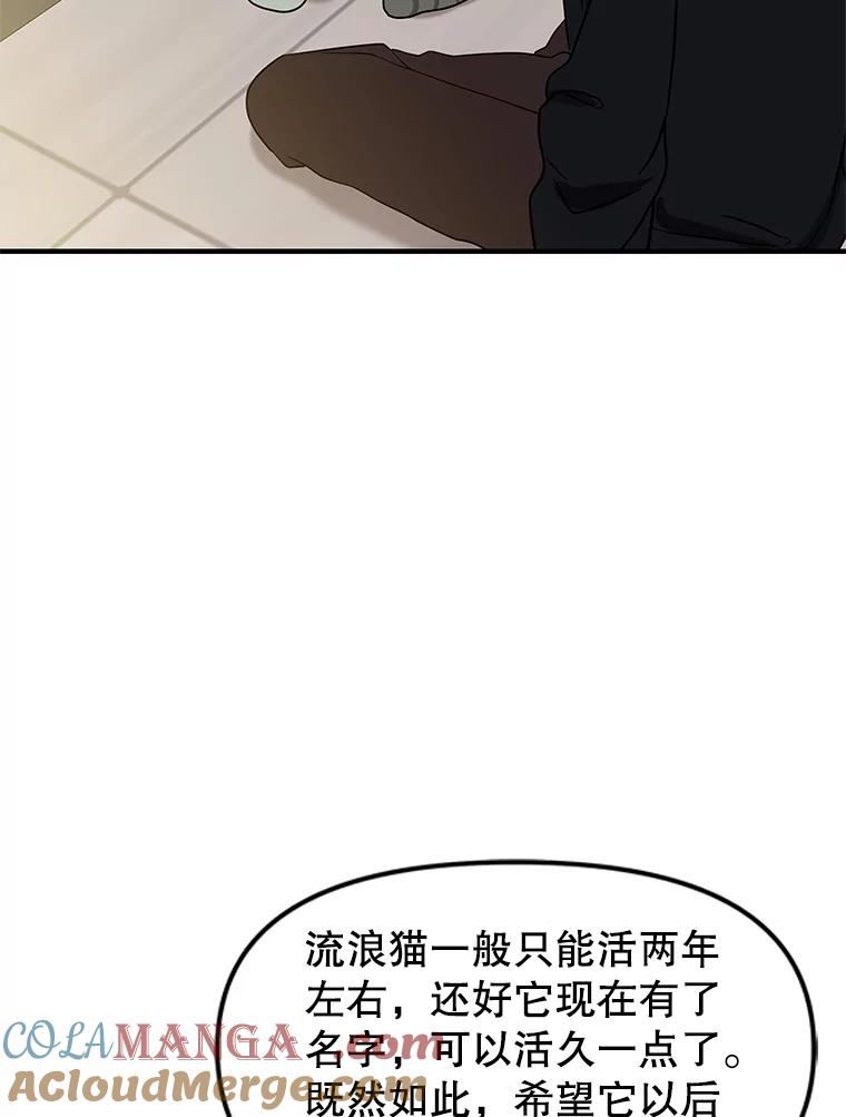 《替吸血鬼吃饭的我》173.我们交往吧 第52页