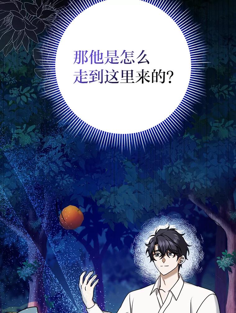《消失的灰姑娘》16.跛脚的皇太子 第28页