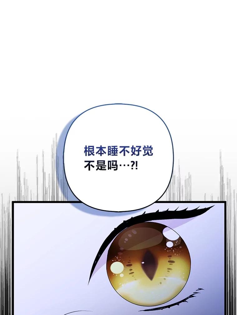 《大公家的狐狸皇女》17.真相 第47页